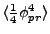 $\langle {1 \over 4}
\phi_{pr}^4 \rangle$